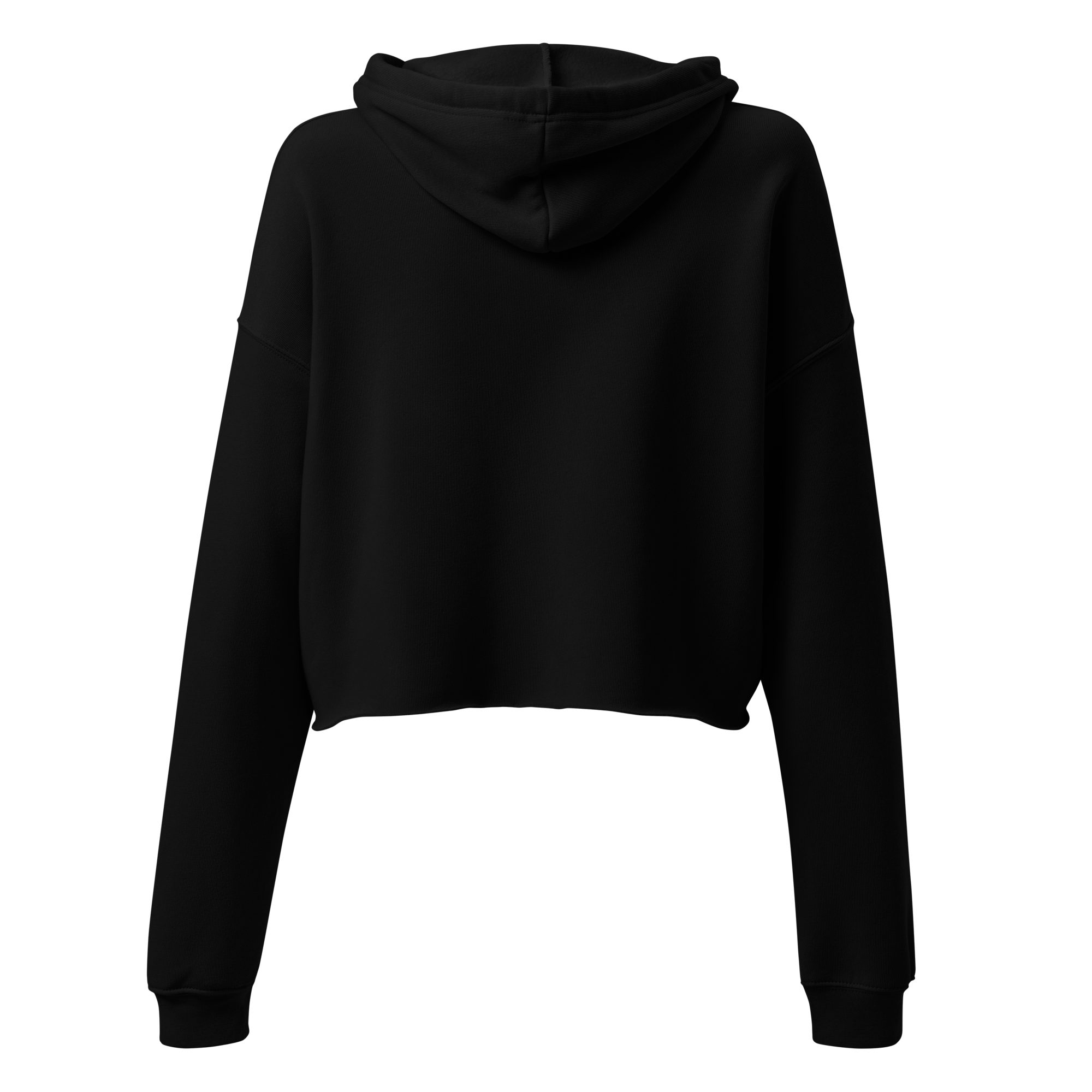 MISSING FROM THE PICTURE Cropped Hoodie - Black back