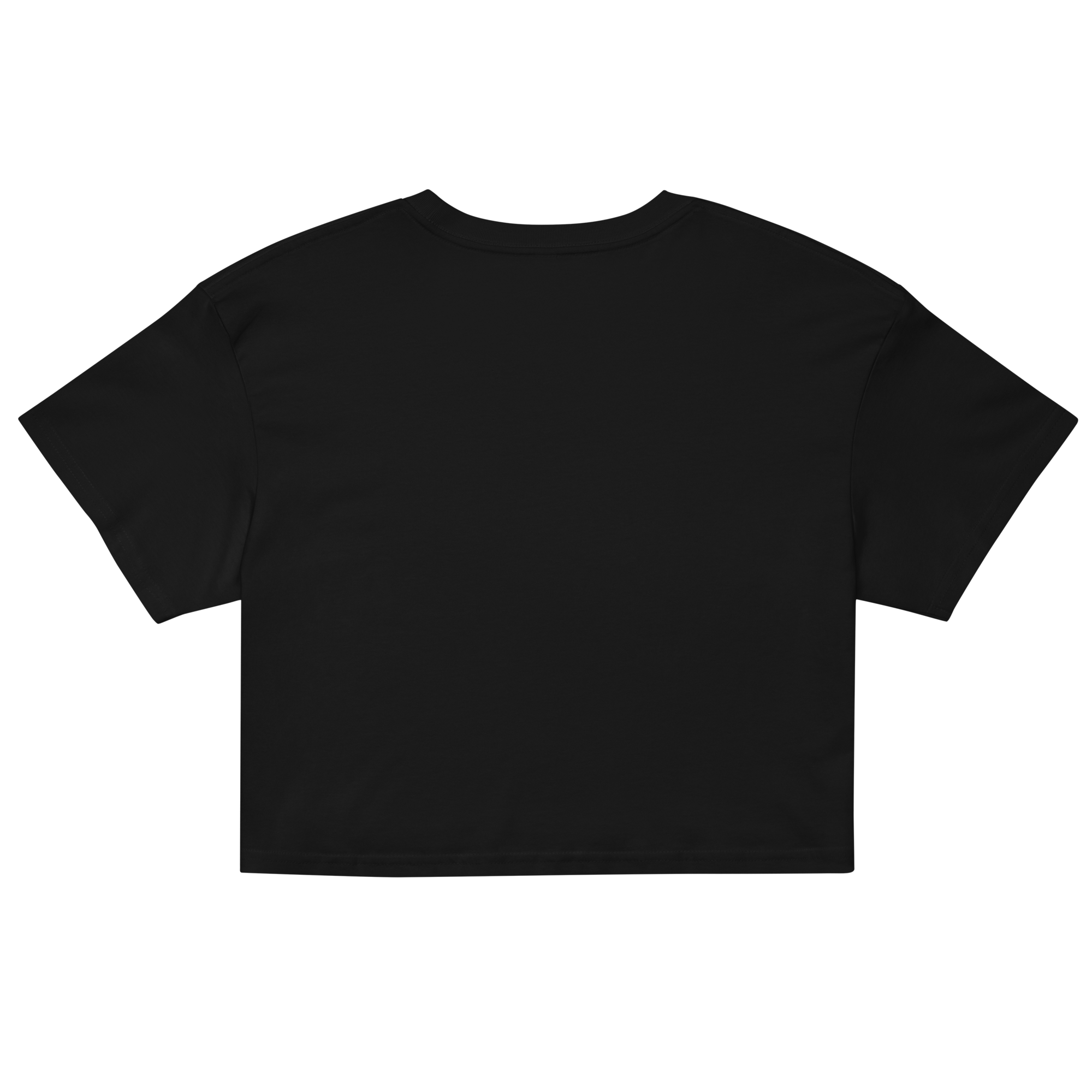 The Lilith Mark - Crop Top back