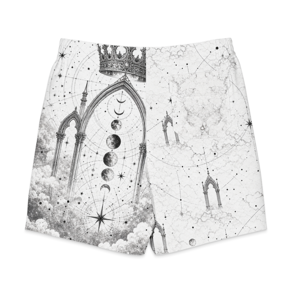 Oracle Court Board Shorts - back