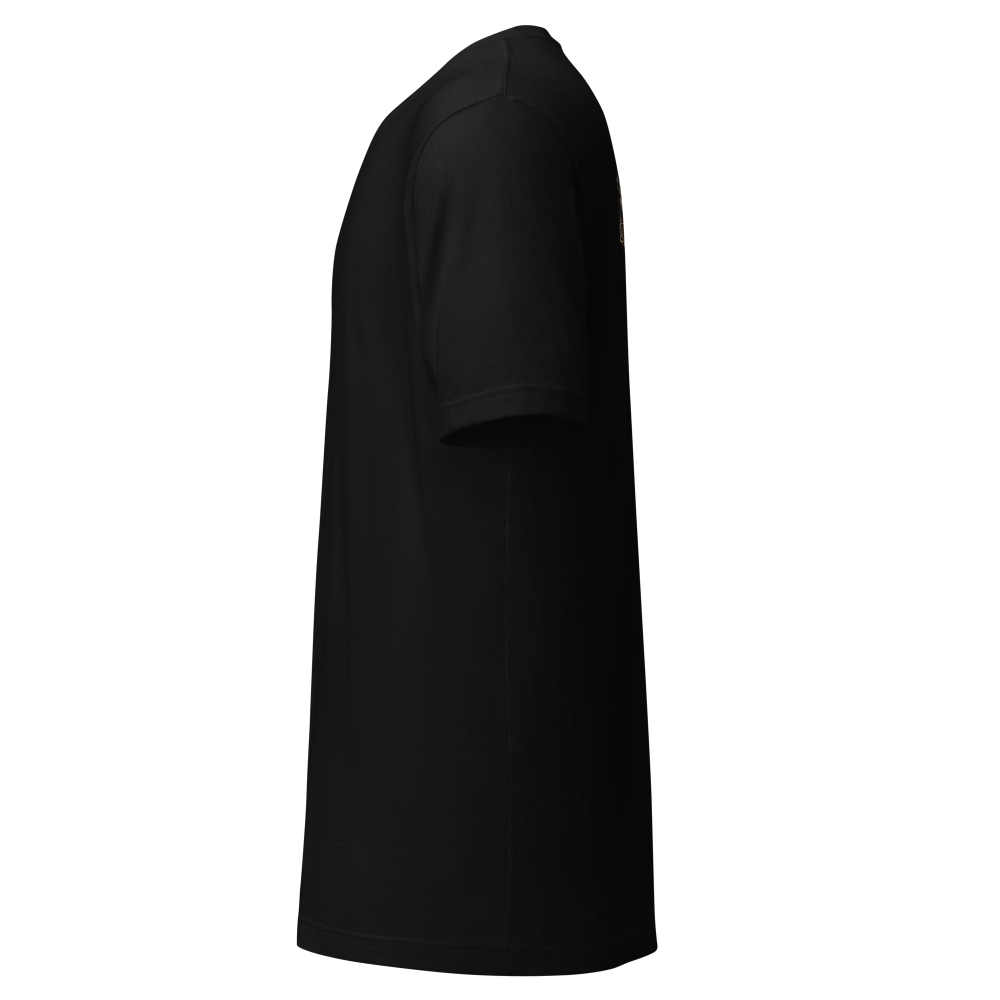 The Thirteenth Seat - Black tee left
